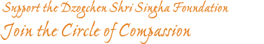 We invite you to contribute