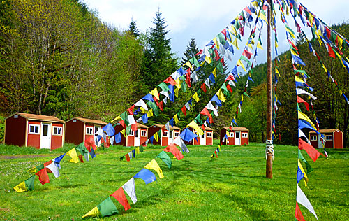 The Mandala Garden